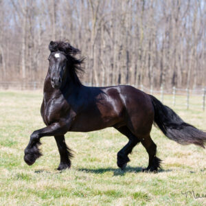 This Is The Way (aka Mando)